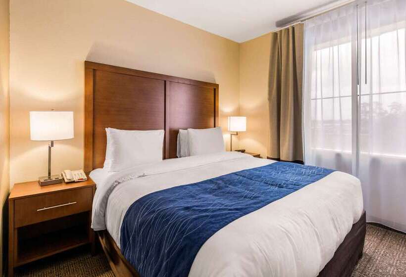 فندق Comfort Inn & Suites Iah Bush Airport – East