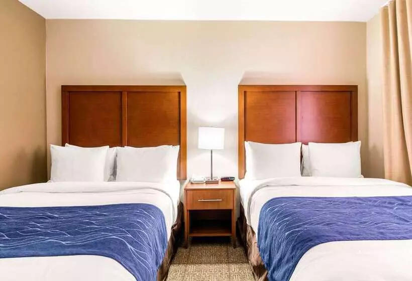 فندق Comfort Inn & Suites Iah Bush Airport – East