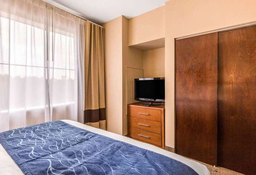 فندق Comfort Inn & Suites Iah Bush Airport – East