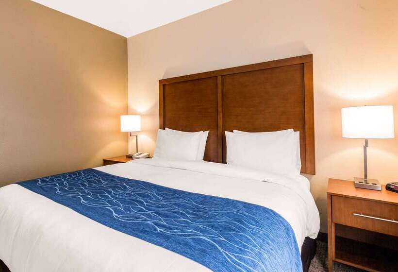 فندق Comfort Inn & Suites Iah Bush Airport – East