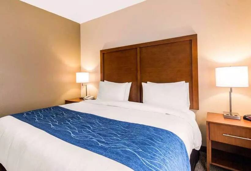 فندق Comfort Inn & Suites Iah Bush Airport – East