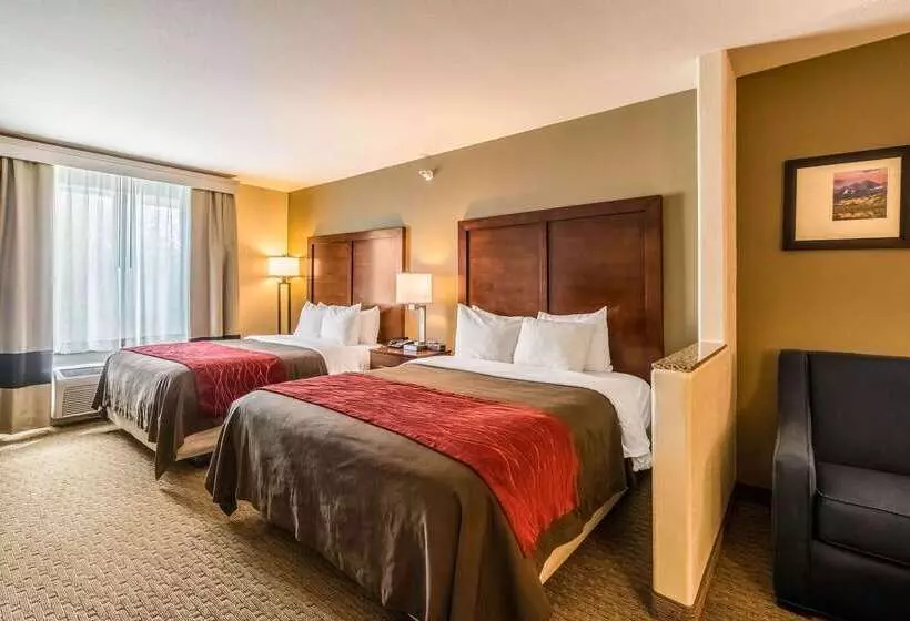 Отель Comfort Inn & Suites