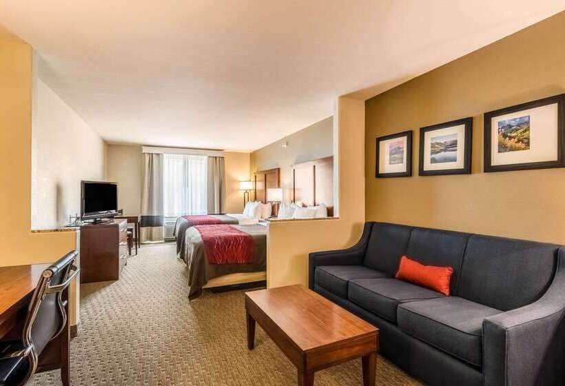 فندق Comfort Inn & Suites