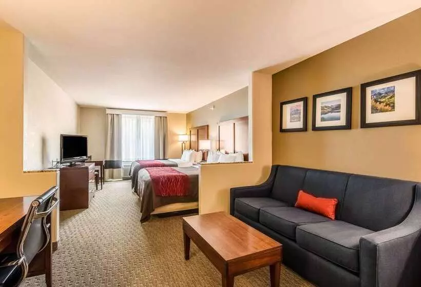 Отель Comfort Inn & Suites