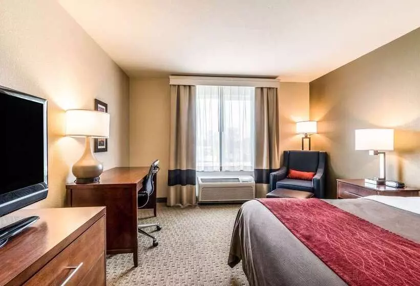 Отель Comfort Inn & Suites
