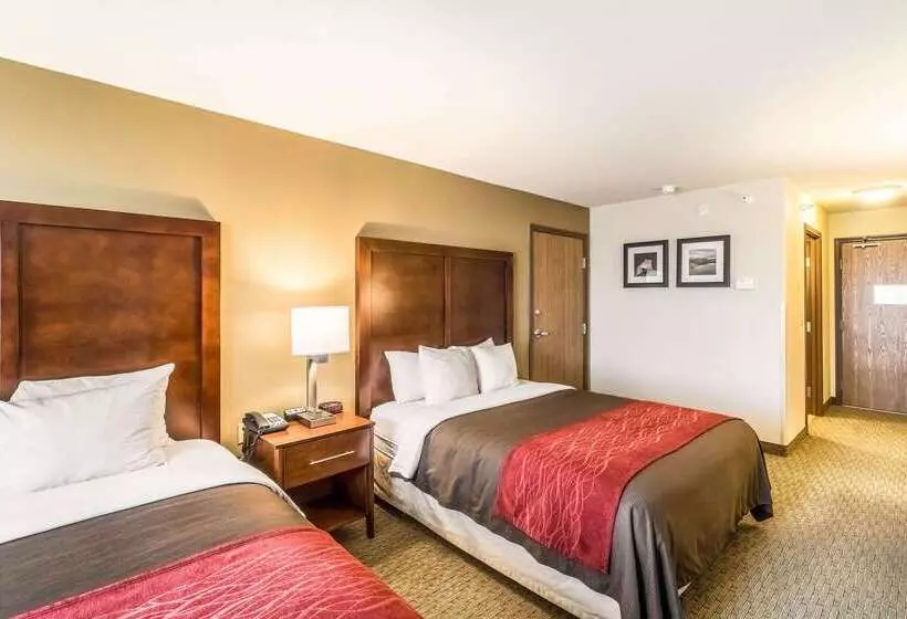 Отель Comfort Inn & Suites