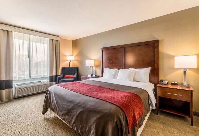 فندق Comfort Inn & Suites