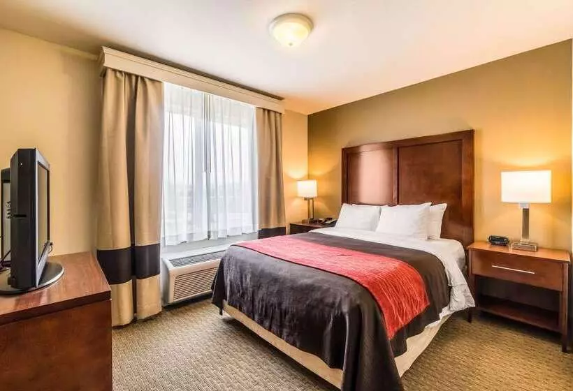 Отель Comfort Inn & Suites