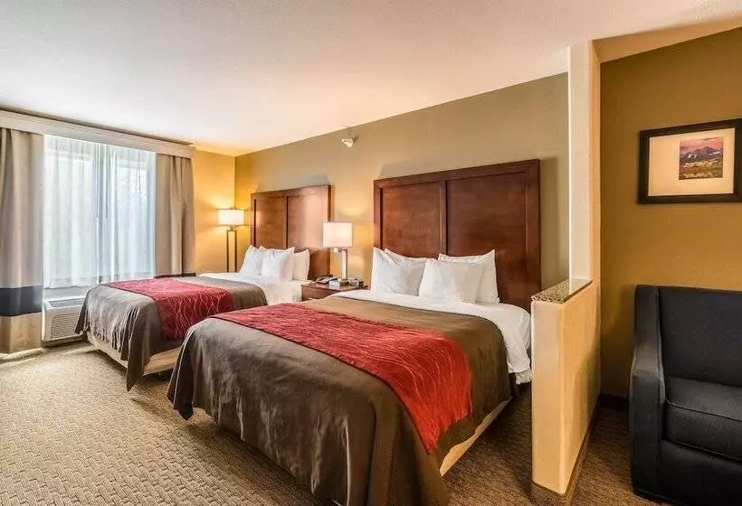 Отель Comfort Inn & Suites