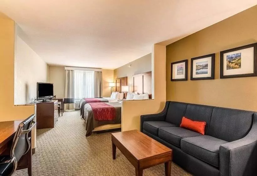 Отель Comfort Inn & Suites
