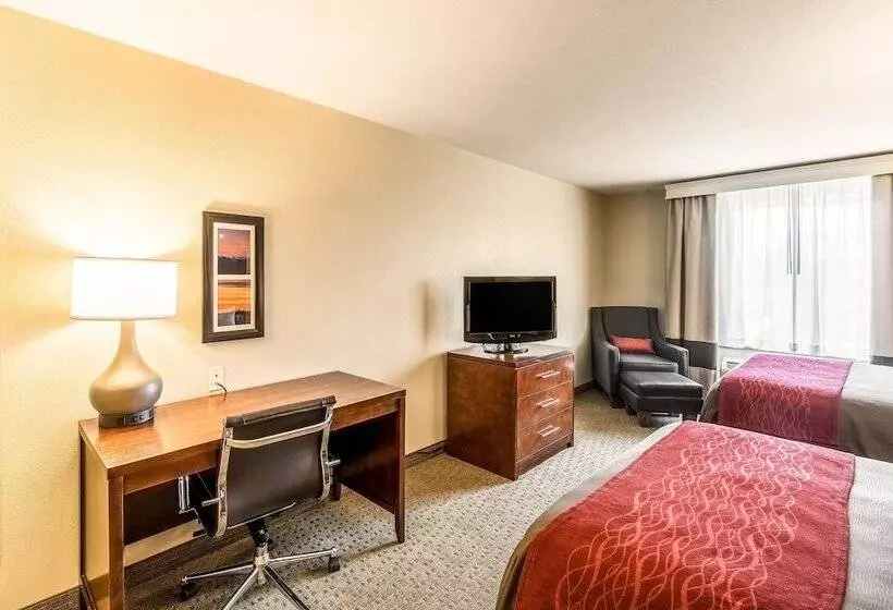 Отель Comfort Inn & Suites