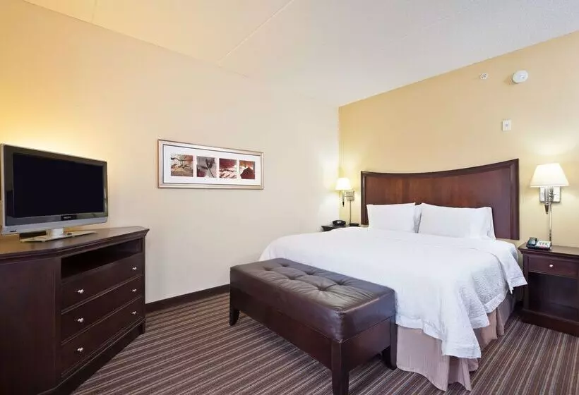 ホテル Hampton Inn By Hilton Gainesville Haymarket