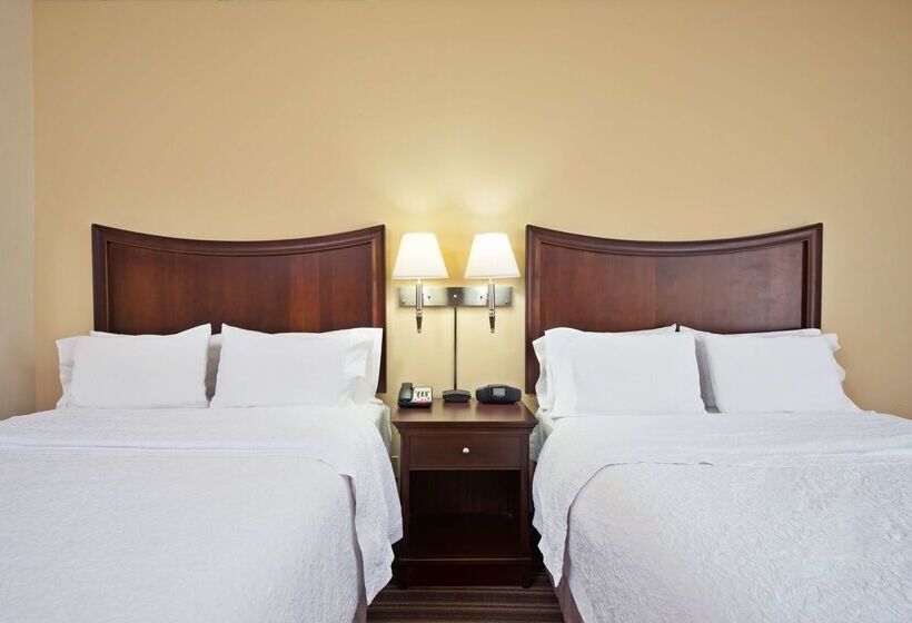 호텔 Hampton Inn By Hilton Gainesville Haymarket