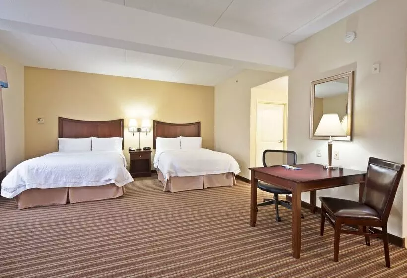 ホテル Hampton Inn By Hilton Gainesville Haymarket