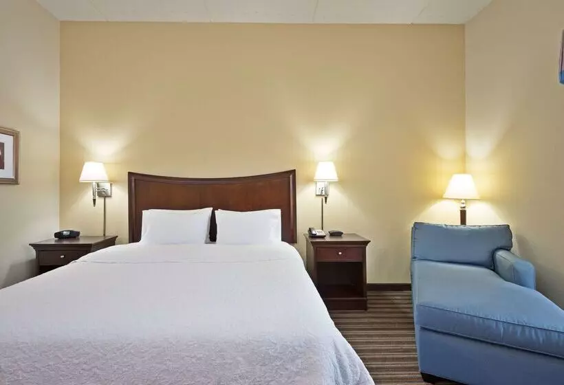ホテル Hampton Inn By Hilton Gainesville Haymarket