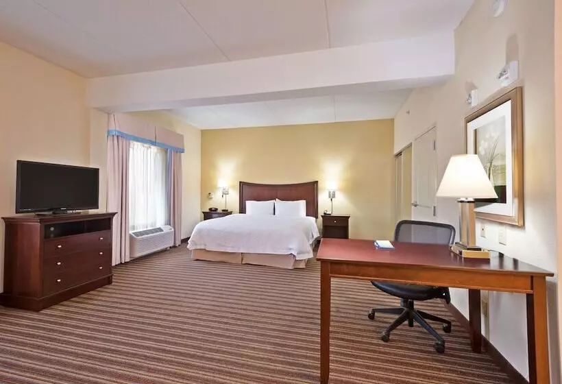 ホテル Hampton Inn By Hilton Gainesville Haymarket