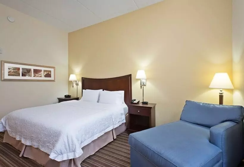 ホテル Hampton Inn By Hilton Gainesville Haymarket