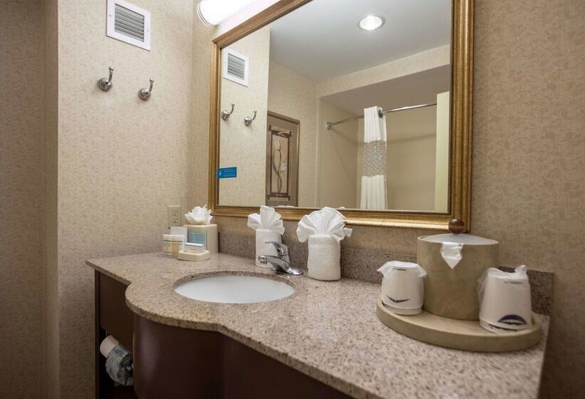 酒店 Hampton Inn Hadley Amherst Area