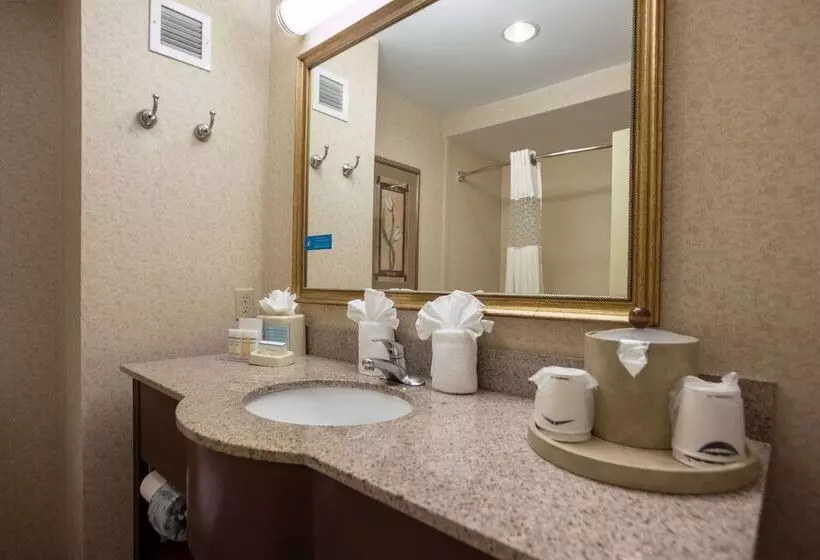 호텔 Hampton Inn Hadley Amherst Area