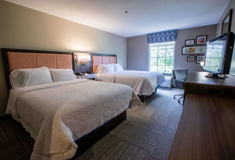 酒店 Hampton Inn Hadley Amherst Area