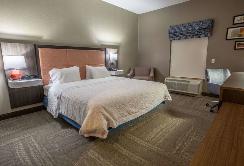 酒店 Hampton Inn Hadley Amherst Area