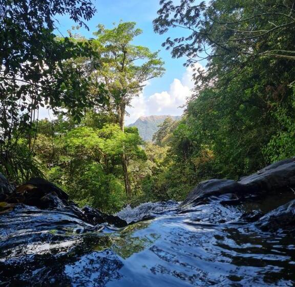 ホテル Los Mandarinos Boutique  And Spa