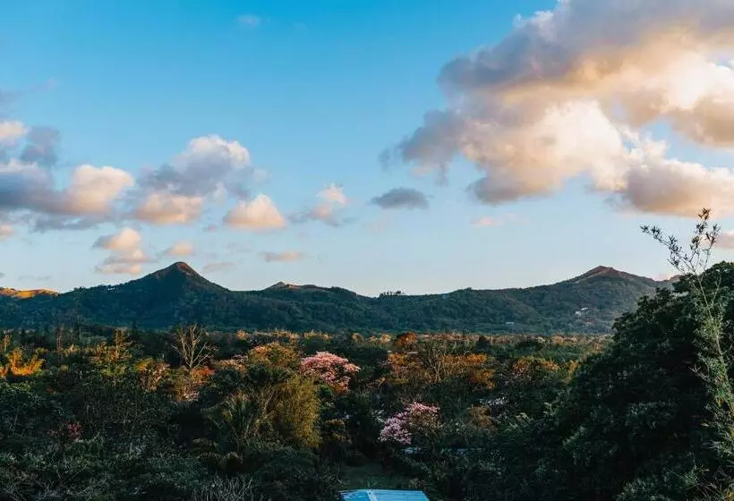 호텔 Los Mandarinos Boutique  And Spa