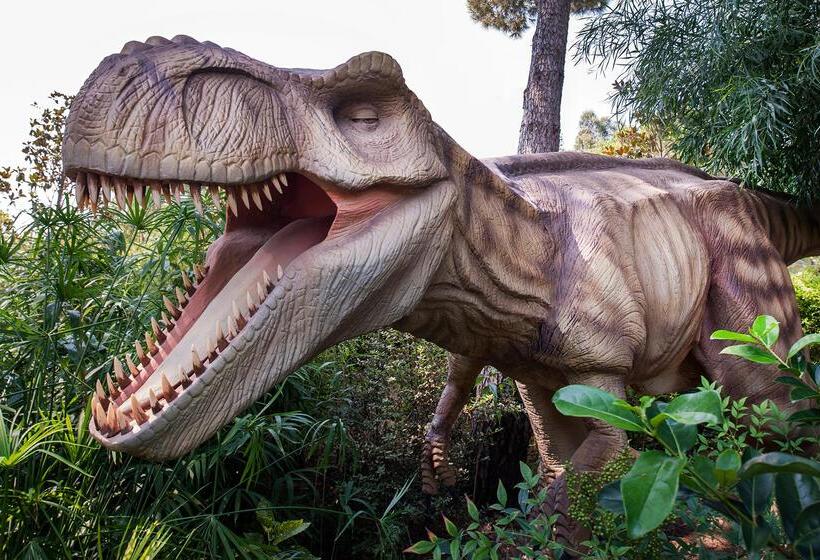 ホテル Maxx Royal Belek Golf Resort