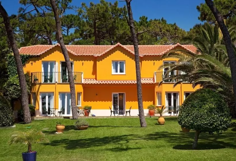 ホテル Senhora Da Guia Cascais Boutique