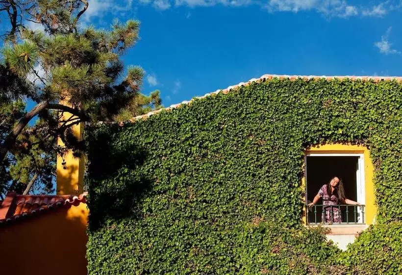 ホテル Senhora Da Guia Cascais Boutique