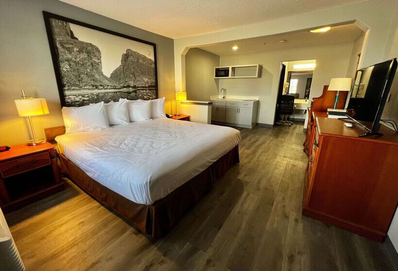 ホテル Super 8 By Wyndham Sealy