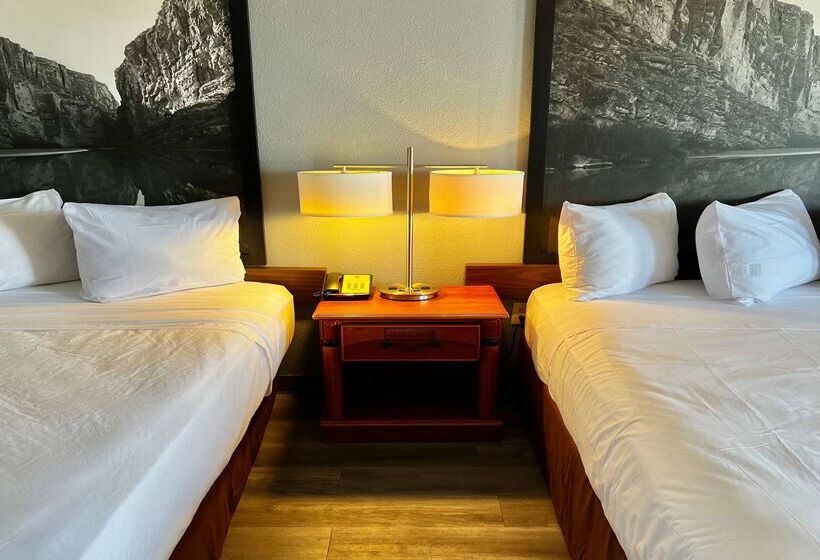 ホテル Super 8 By Wyndham Sealy