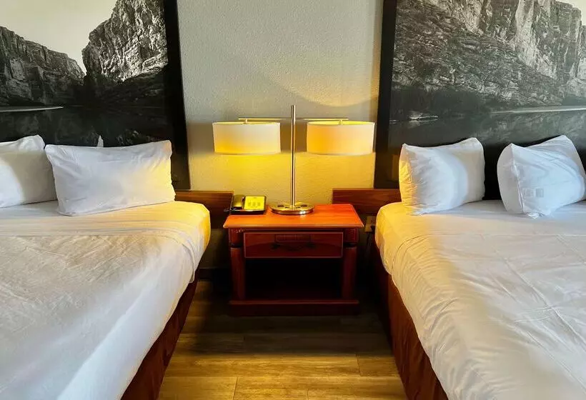 酒店 Super 8 By Wyndham Sealy