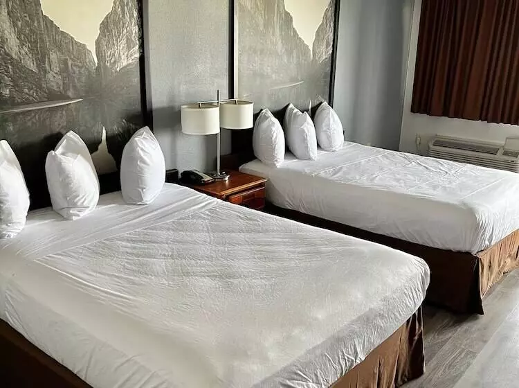 酒店 Super 8 By Wyndham Sealy