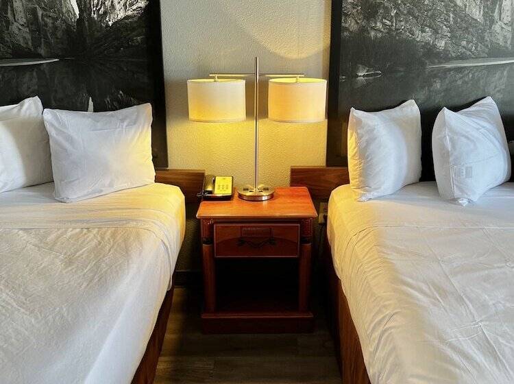 ホテル Super 8 By Wyndham Sealy