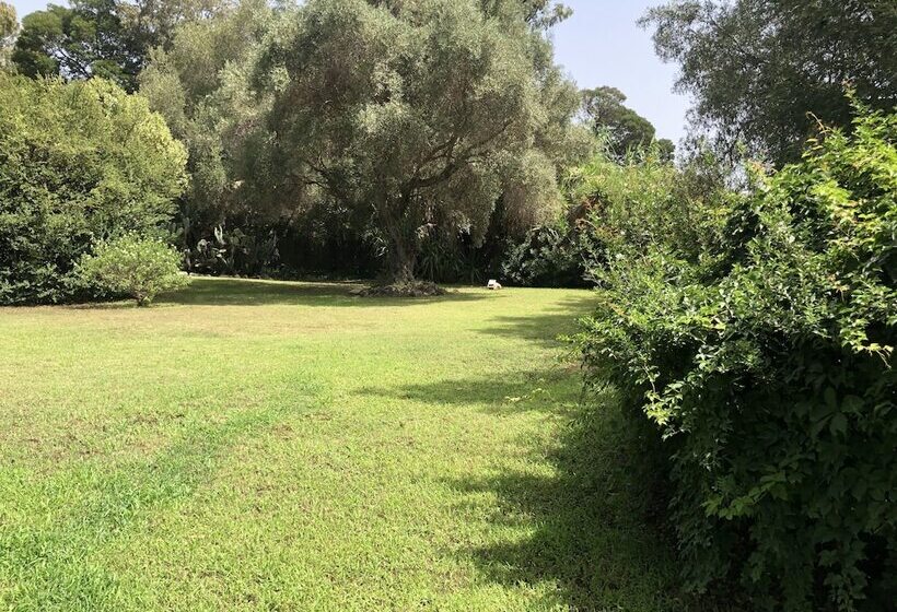 Baia Delle Palme Beach