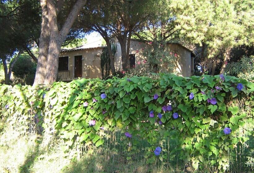 Baia Delle Palme Beach