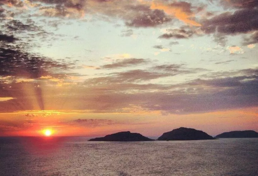 リゾートホテル Luxury Suites By Estrella Del Mar