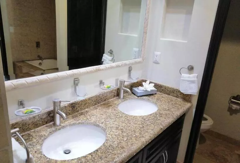 リゾートホテル Luxury Suites By Estrella Del Mar