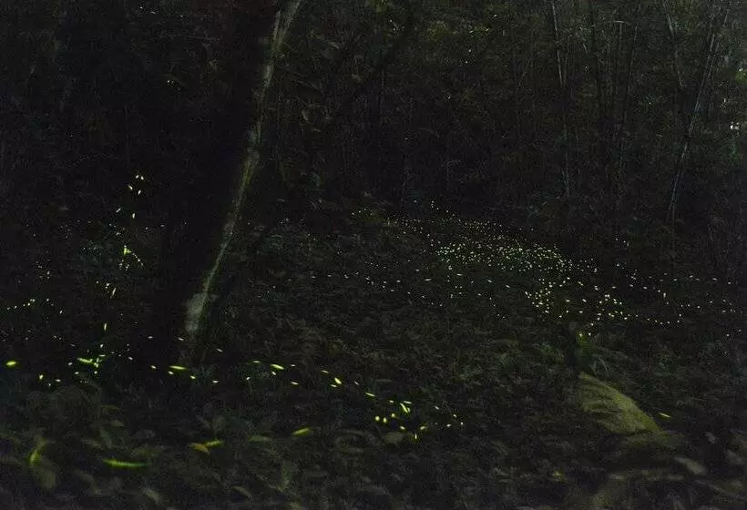 هتل Chambord Castle