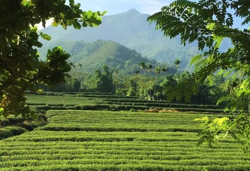 هتل Chambord Castle
