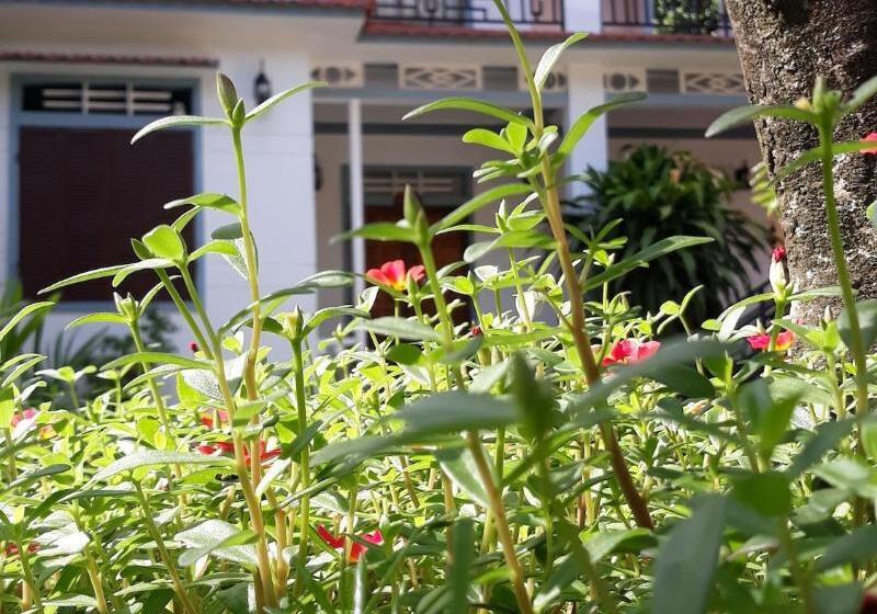 هتل Tropical Valley Homestay Villas