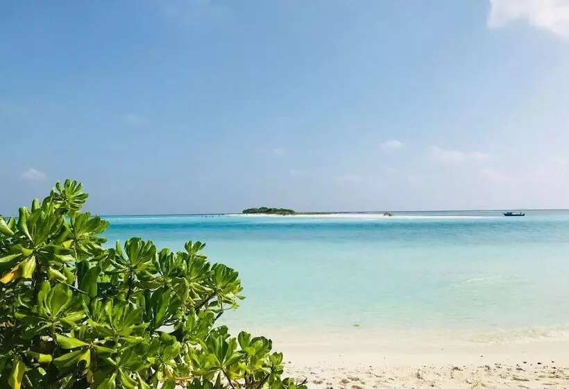 هتل Veli Beach Inn