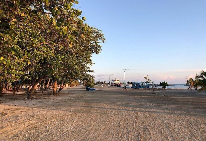 هتل Veli Beach Inn