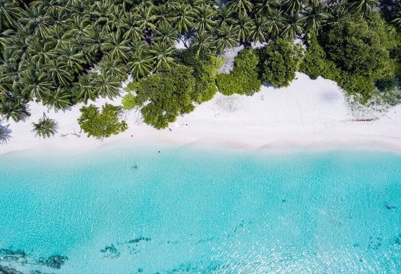 هتل Veli Beach Inn