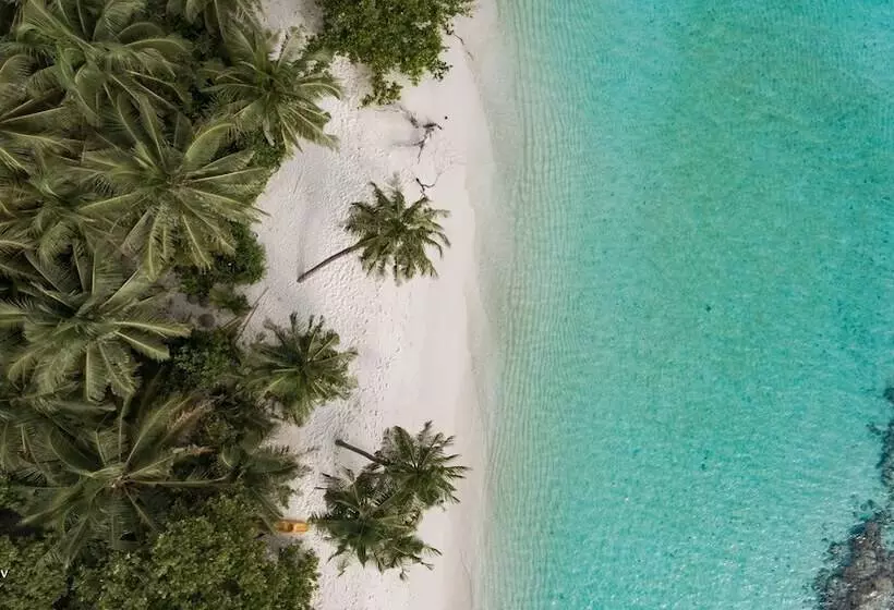 هتل Veli Beach Inn