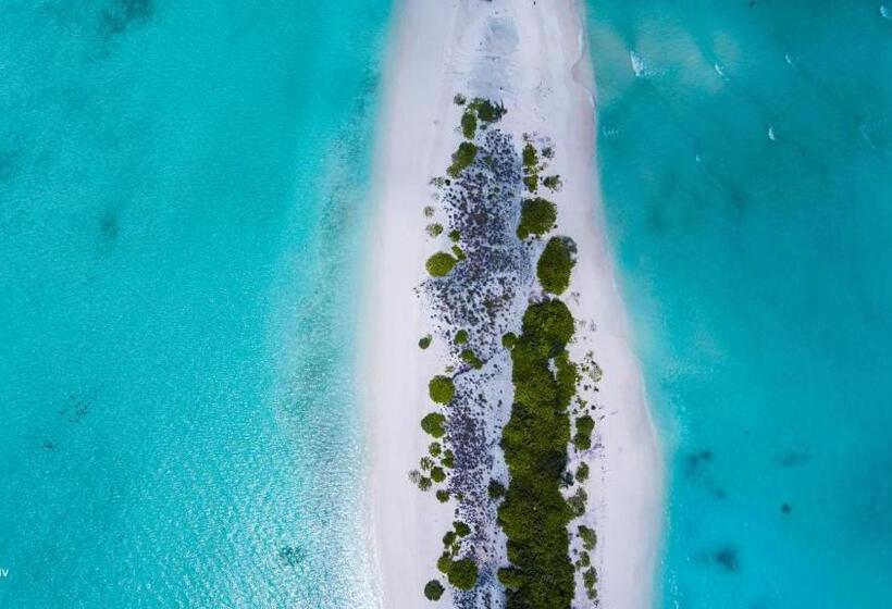 هتل Veli Beach Inn