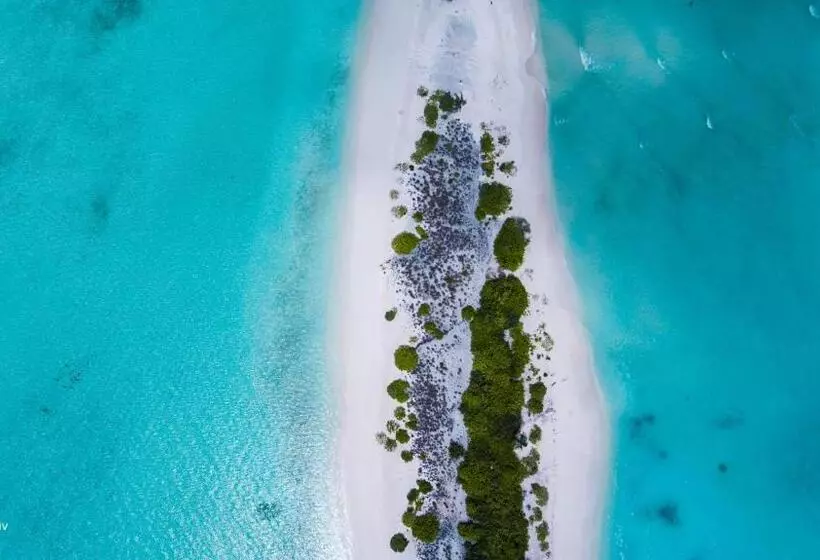 هتل Veli Beach Inn