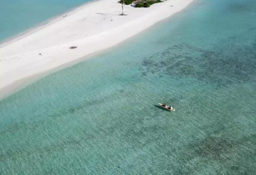 هتل Veli Beach Inn