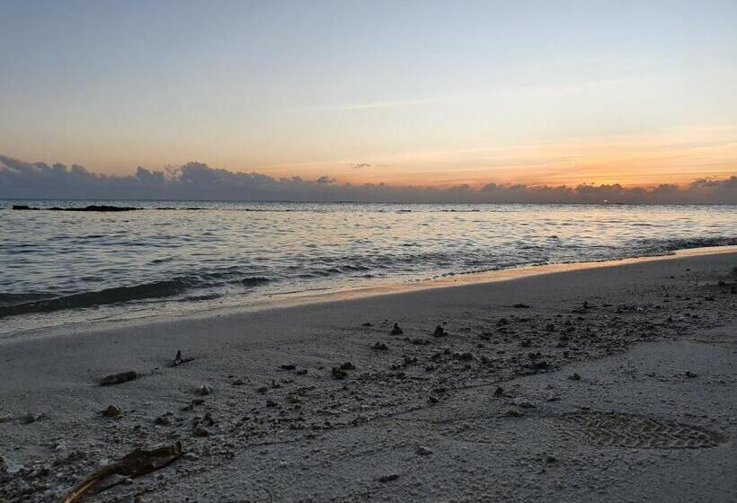 هتل Veli Beach Inn